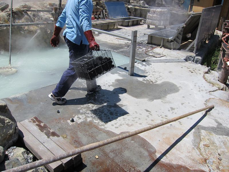 ớp vỏ trứng chuyển thành màu đen